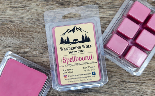 Spellbound Wax Melt